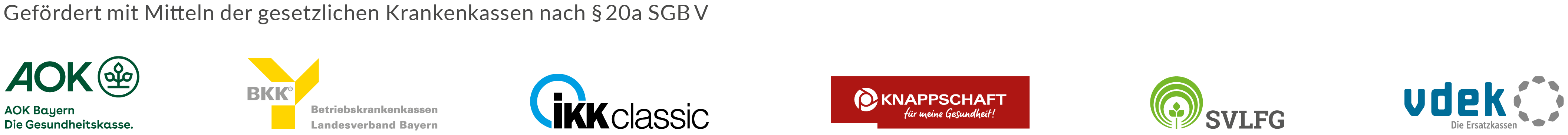 SoNet Logo Footer